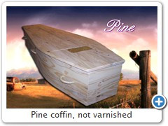 Pine coffin, not varnished