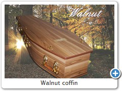 Walnut coffin